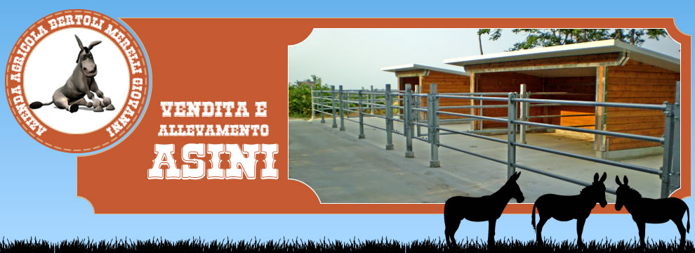Azienda Agricola Bertoli Merelli Giovanni - Vendita e Allevamento Asini