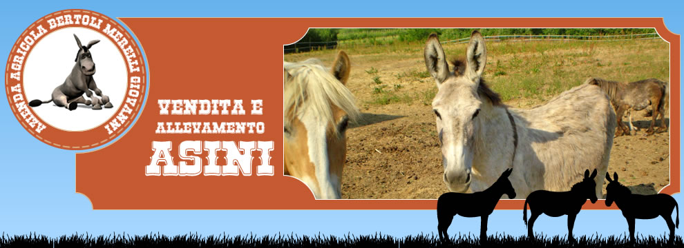 Azienda Agricola Bertoli Merelli Giovanni - Vendita e Allevamento Asini