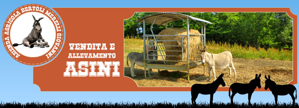 Azienda Agricola Bertoli Merelli Giovanni - Vendita e Allevamento Asini